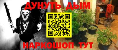 spice Заводоуковск