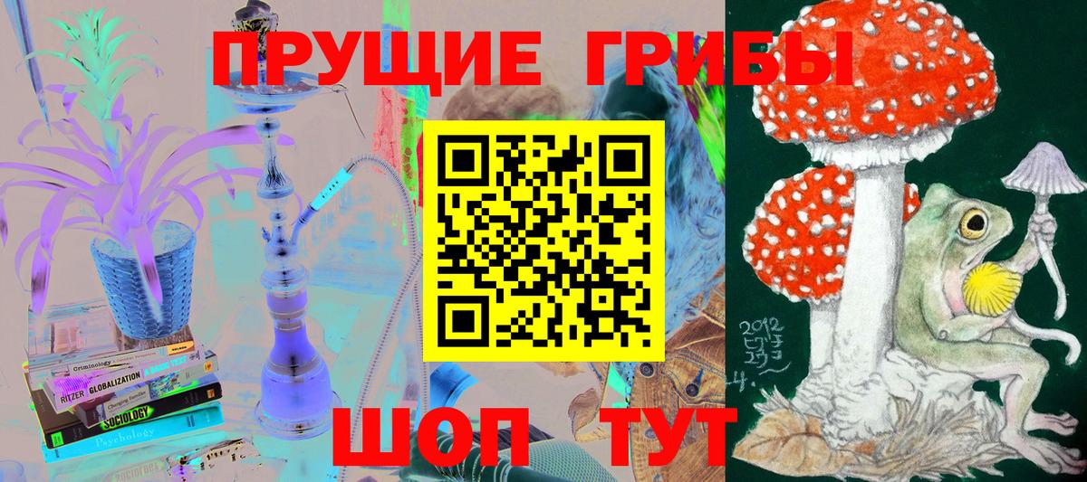 Галлюциногенные грибы Psilocybe  Вход с VPN  Лабытнанги 